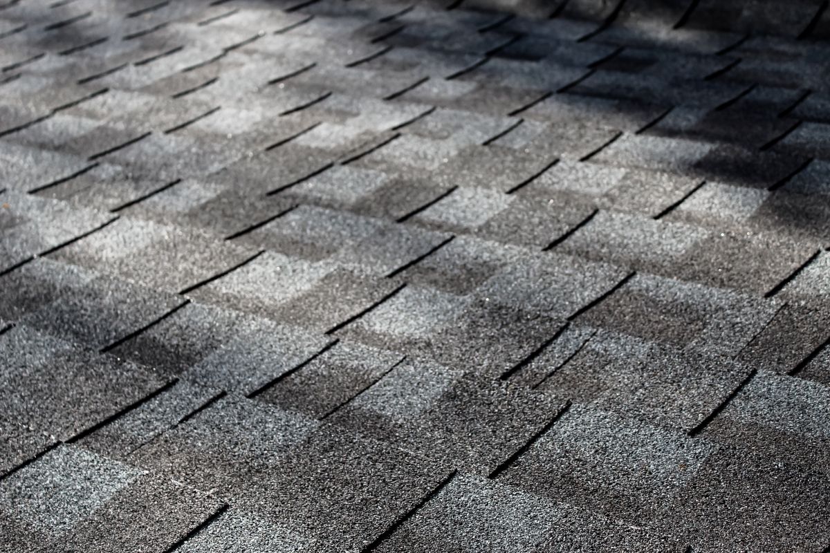close-up of an asphalt shingle roof at an angle with dappled sunlight, Shoreview